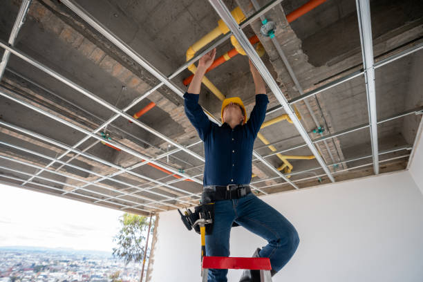 Best Leak Detection Services  in Wheeler, TX