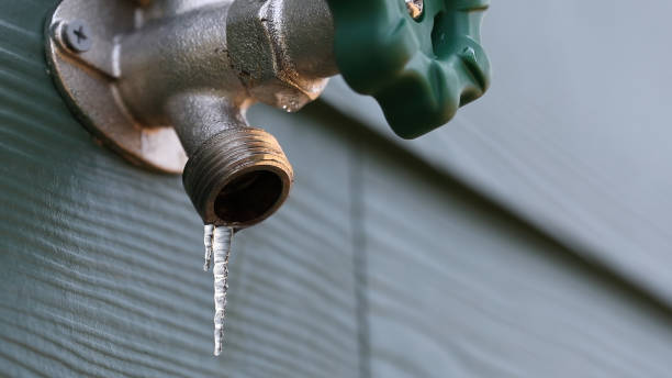 Best Plumbing Inspection Services  in Wheeler, TX